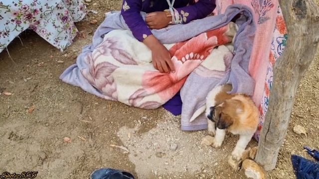 Part 10: Loving family and nursing from Sima and looking for Frangis in rainy weather🥶 смотреть онлайн