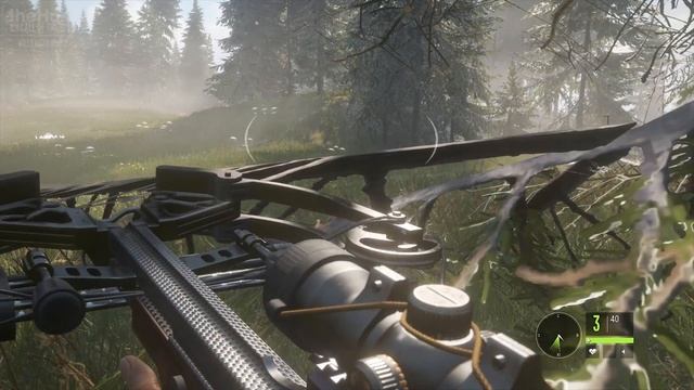 TheHunter_COTW_057_Бхандари_Встреча_с_оленями