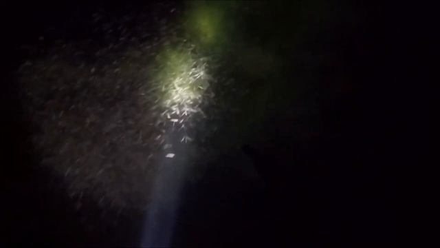 琵琶湖で素潜り2019年7月7日ダイジェスト смотреть онлайн