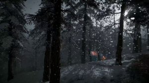 Зимний лес с ветром и снегопадом Снежная буря в лесу