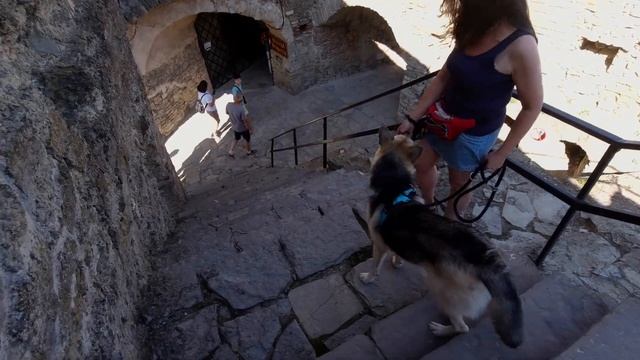 🔥Джаз на відпочинку🔥Ч. №2 Кам'янець-Подільська та Хотинська фортеця #джаз #хотин #пес #travel #dog смотреть онлайн