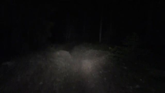 Нашли тетеревиный ток и подошли к глухарю под песню смотреть онлайн