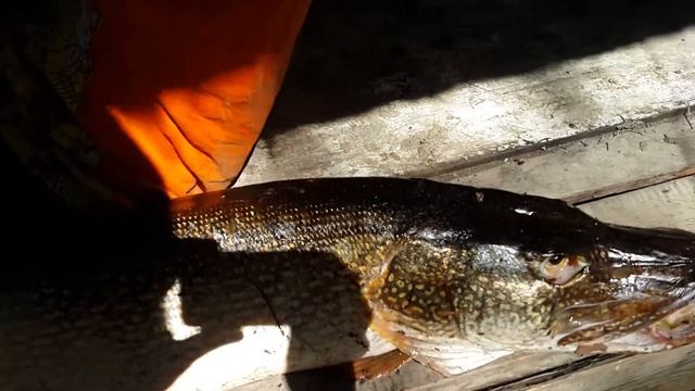 Удачная рыбалка смотреть онлайн