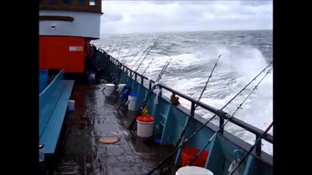 makrele смотреть онлайн