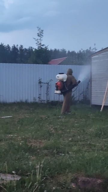 уничтожение шершней,ос#+79152048084#московская область смотреть онлайн