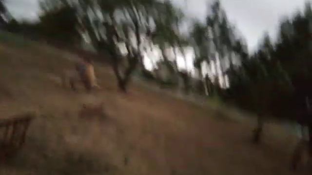 продолжение на игру монстрик смотреть онлайн