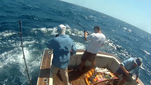 Big Black Marlin on Daiwa Saltiga 4500. Montebello Islands Marlin switch bait fishing смотреть онлайн