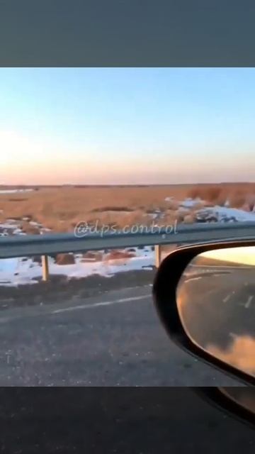 Тигр гуляет по трассе смотреть онлайн