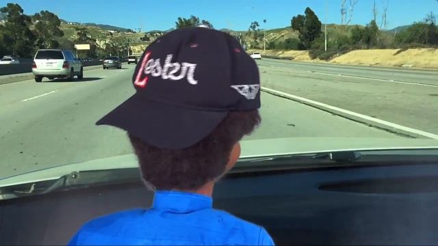 Lester Driver Zebra смотреть онлайн