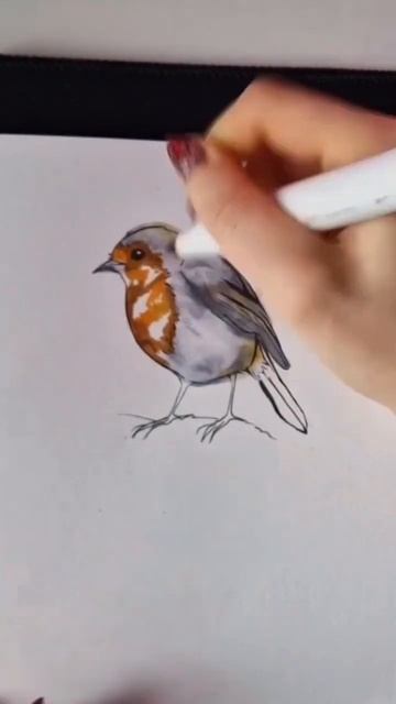 Sketching a bird with markers 🐦#art #drawing #sketch #sketchbook смотреть онлайн