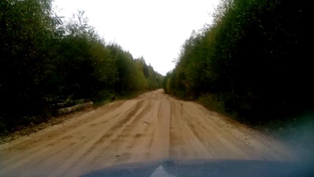 Неизвестный зверь смотреть онлайн