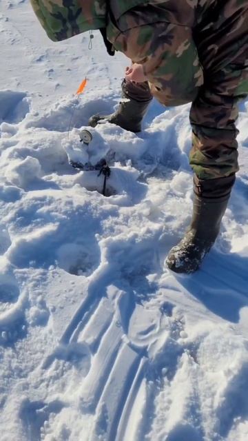 Зимняя рыбалка. Осечки на рыбалке, 9 поклёвок - 0 реализации #жерлица #рыбалка #щука #отдых #зима смотреть онлайн