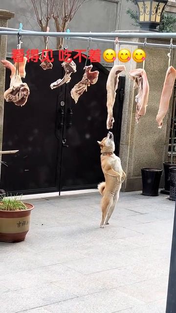 Так хочется