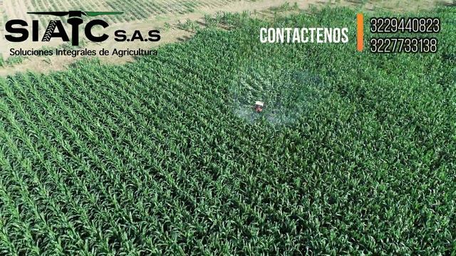 Fumigación Agrícola Con Drones Colombia DJI AGRAS T20 смотреть онлайн