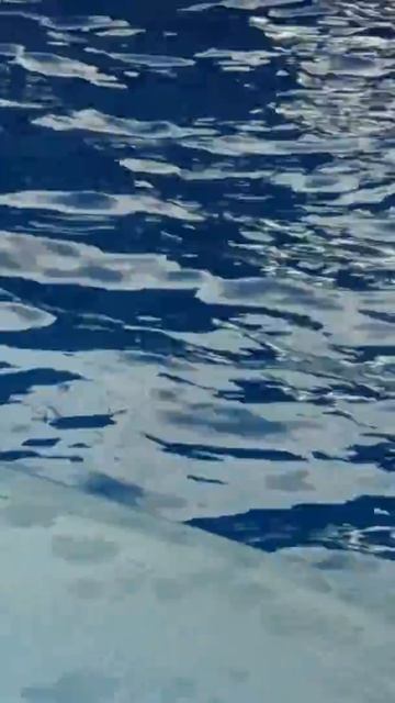 Невероятный прыжок с дельфинами смотреть онлайн