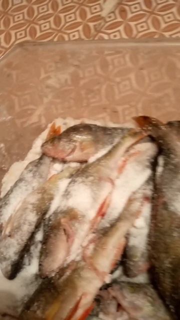великий посол окуня смотреть онлайн