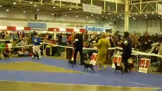 Иерос Хрустальный кубок 2013 2 смотреть онлайн