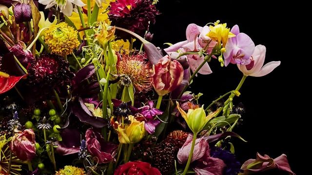 Azuma Makoto Drop Time vol.35_right_30s_loop смотреть онлайн