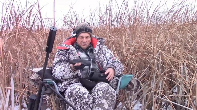 Охота на приваде на шакала и лису 2 смотреть онлайн