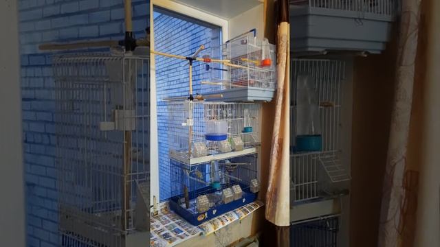 25 февраля 2024 г. смотреть онлайн