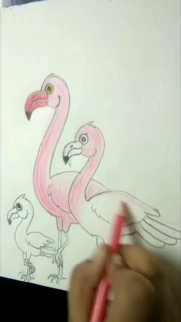 Flamingo 🦩🦩🦩-- Colour Pencil смотреть онлайн