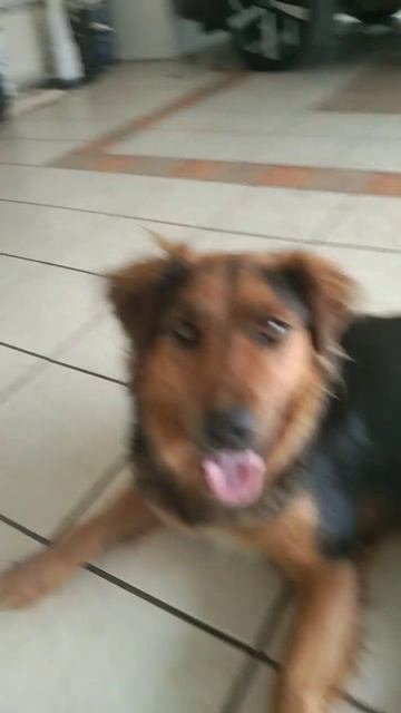 26 October 2022 смотреть онлайн