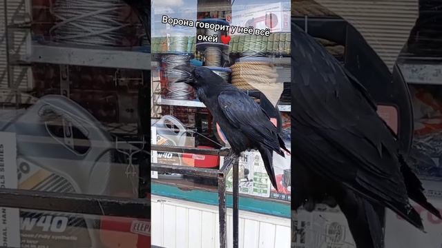 5 июля 2024 г. смотреть онлайн