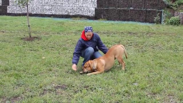 поклон смотреть онлайн