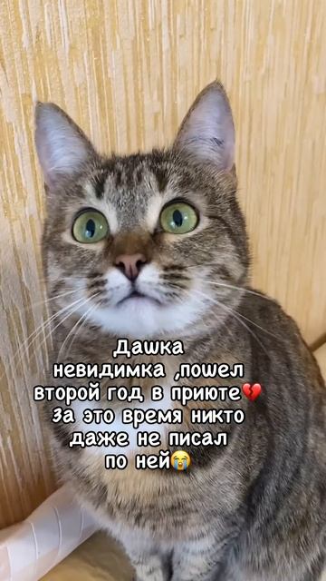 Доставка в другие города и страны 🙏🏻 смотреть онлайн