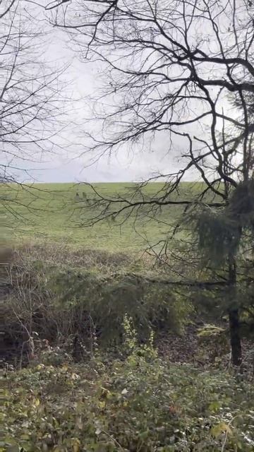 Ferme sur sanglier смотреть онлайн