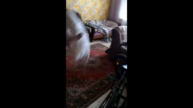 Последнее видео на моем канале смотреть онлайн