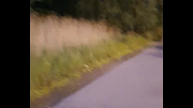 PeaceHaver — криминальный гипноз, сатанизм, Зд смотреть онлайн