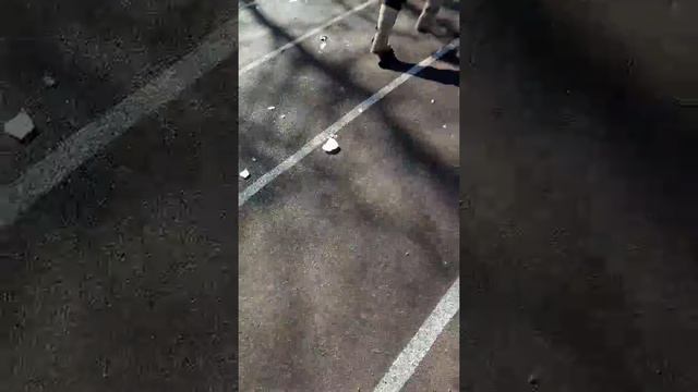 бешенные кошки смотреть онлайн