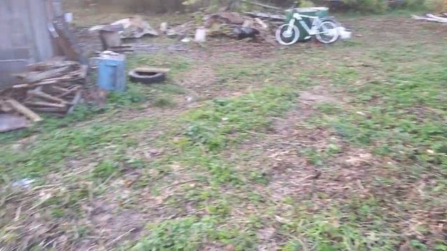 Подарили заброшенную пасеку! Обзор! смотреть онлайн