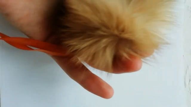 Помпон из новозеландского кролика смотреть онлайн