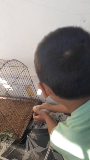 2 December 2021 смотреть онлайн