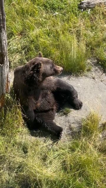 i almost dropped my phone😱😳👀 #shorts смотреть онлайн