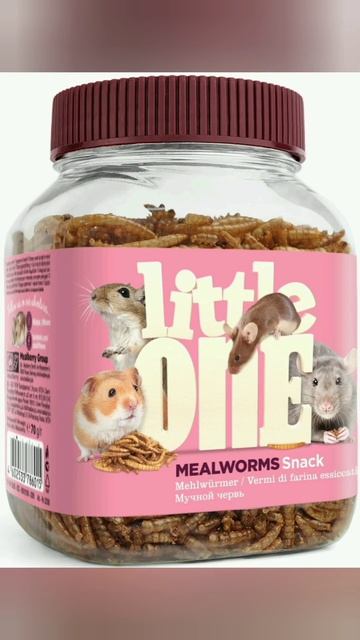 хорошие корма для хомяков смотреть онлайн