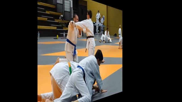 Cours de Judo du 23 sept 2016 смотреть онлайн