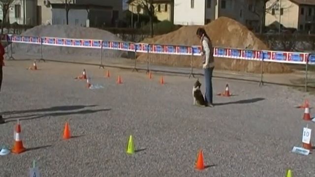 Rally-obedience Cristal (Shetland) con Silvia Loro смотреть онлайн
