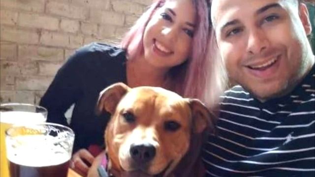 Мужчина установил камеру и выяснил чем занимается его девушка и собака! смотреть онлайн