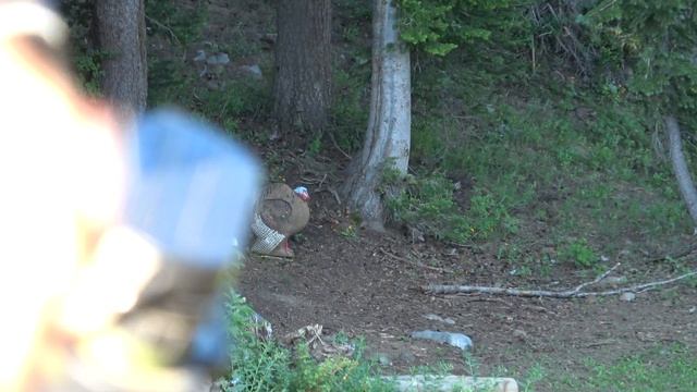 TEAM FACE OFF at Total Archery Challenge (5 v 4 Scramble / Part 1) смотреть онлайн