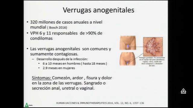 04 Dr Félix Fich Cancer e Infecciones Virus Papiloma Humano смотреть онлайн