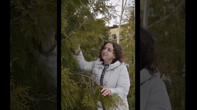 Небольшая нарезка из необработанных фото.Вроде неплохо получилось 👍 смотреть онлайн