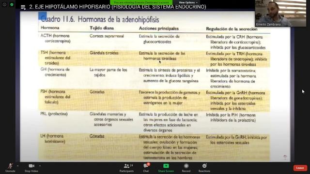 Morfo 2 clase 7 смотреть онлайн
