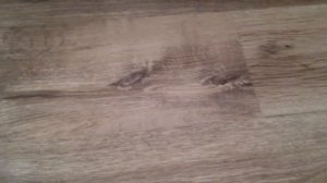 Пополнение DVD коллекции #1