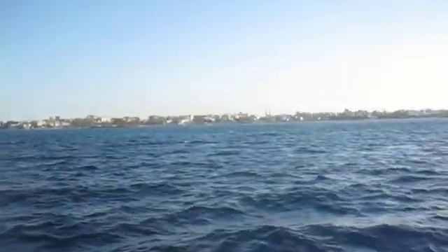 Галка на лодке смотреть онлайн