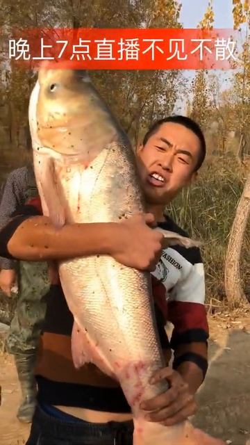 Dorethy Fishing | Fresh Water Fish | #shorts video #74 смотреть онлайн