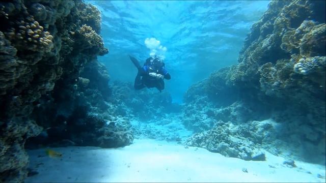 Сефети стоп смотреть онлайн