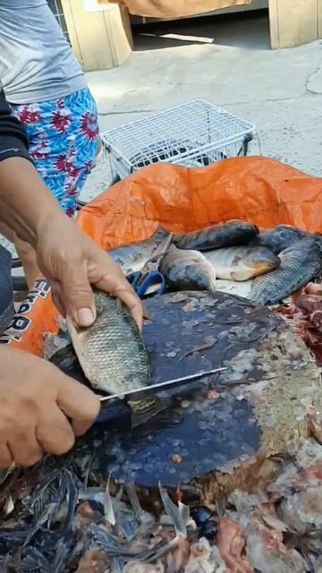Fish vendor cleans fish when you buy #shorts смотреть онлайн